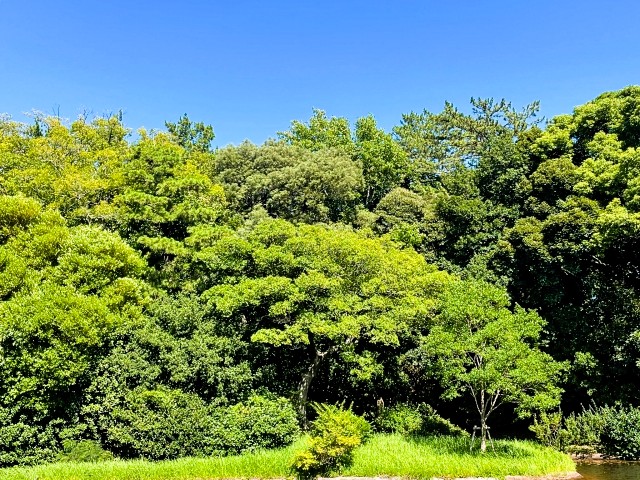 ［タダノ］2025年度「タダノまなびの森づくりイベント」開催