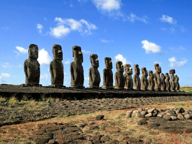 レンタルクレーン画像