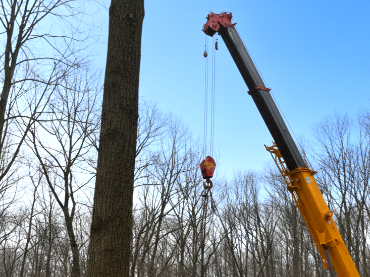 ［埼玉県］クレーンで吊った籠ごと墜落で2人死傷。移動式クレーン車で籠を吊り上げ、高さ10メートルまで運搬した疑いで書類送検。