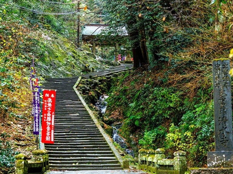 ［島根県］安来市の清水寺　雪で倒れた杉の撤去作業始まる