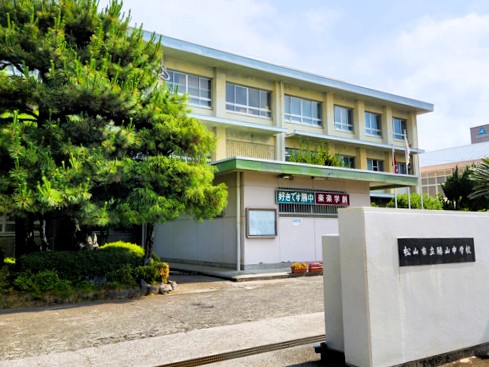［愛媛県］生徒たちを約100年見守り続けた勝山中のシンボル｢ユーカリ｣が伐採